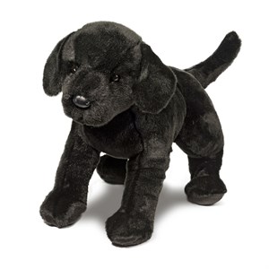 plush black dog